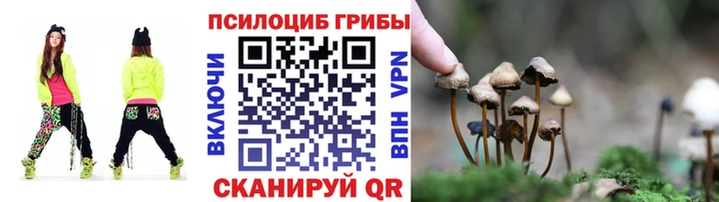 Галлюциногенные грибы GOLDEN TEACHER  где купить наркоту  Бутурлиновка 