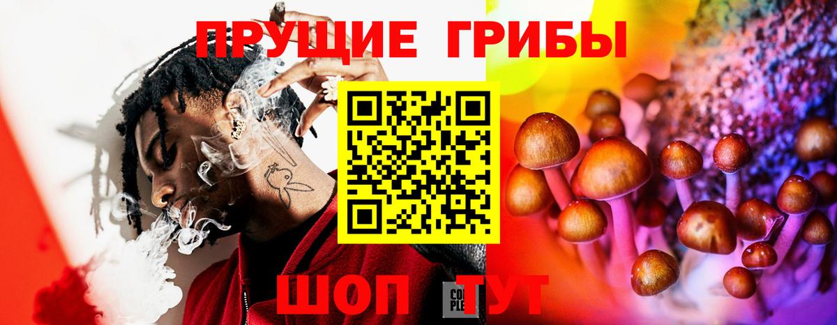 Галлюциногенные грибы мицелий  Вход с VPN  Бутурлиновка 